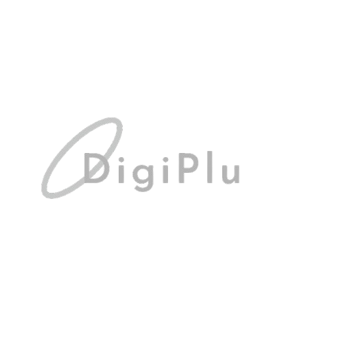 Digiplu